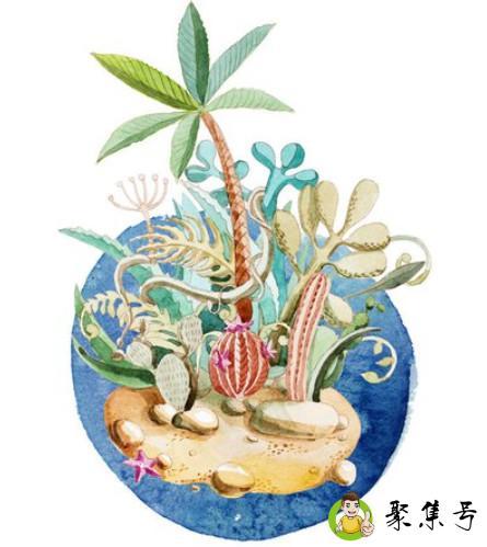 仙人藤是什么意思