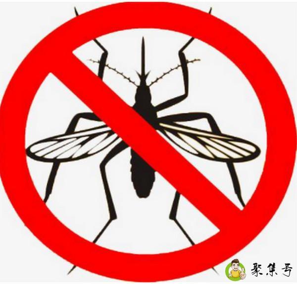如何灭蚊