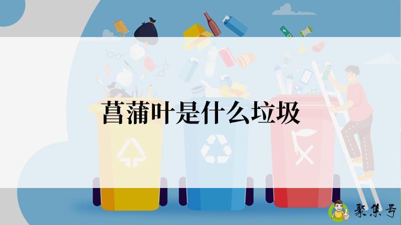 菖蒲叶是什么垃圾