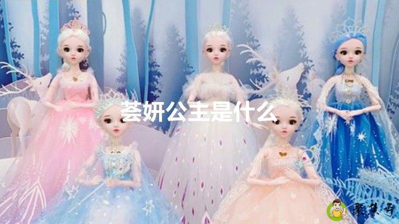 荟妍公主是什么