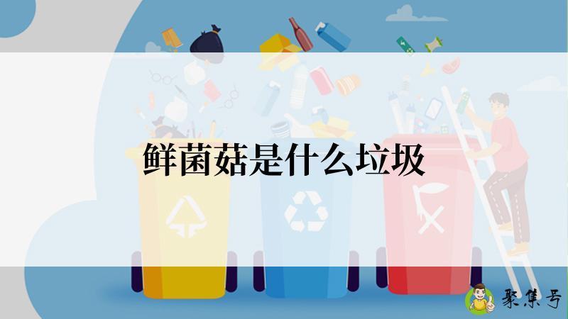 鲜菌菇是什么垃圾