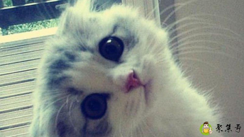 说人可奶可盐什么意思