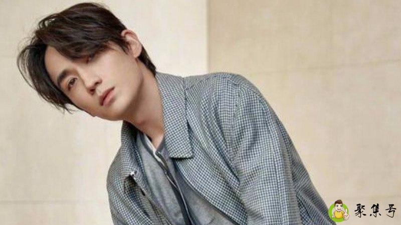 爹系爱豆什么意思