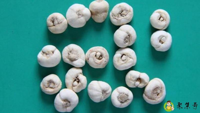 川贝母和平贝母的区别