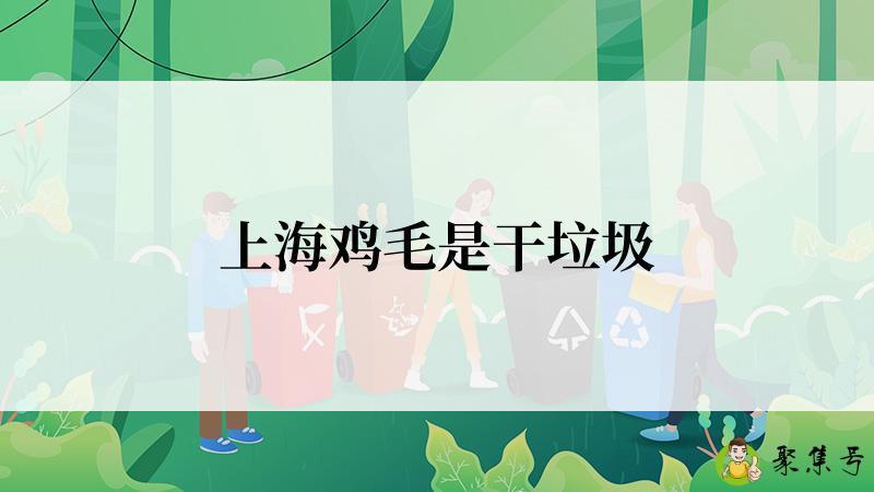 上海鸡毛是干垃圾