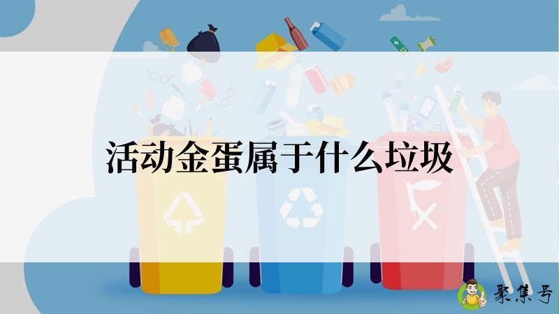 活动金蛋属于什么垃圾