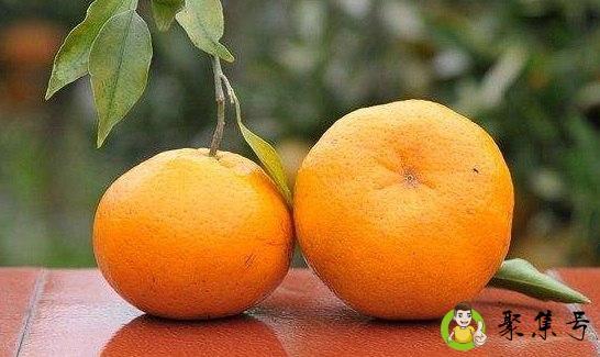 春见和不知火区别