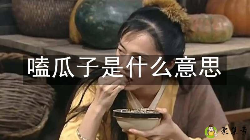 嗑瓜子是什么意思