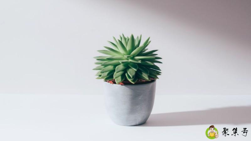 自然光和白光哪个护眼