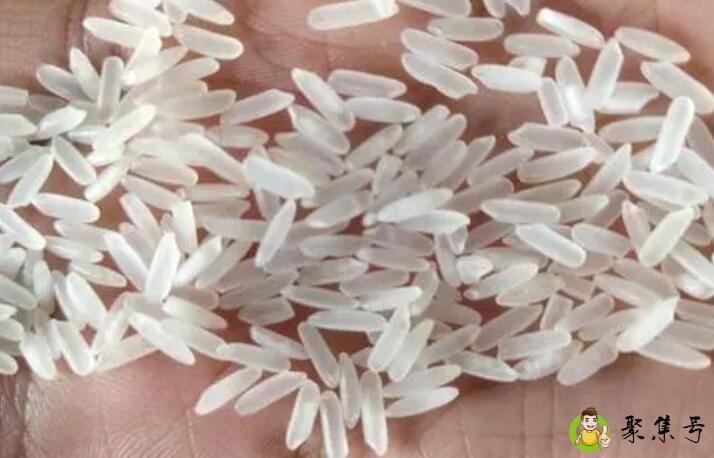 黄花粘大米与普通大米的区别