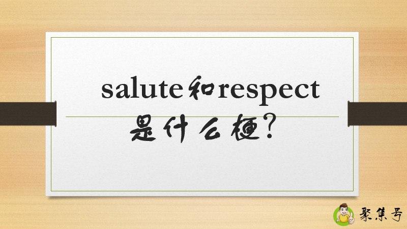salute和respect是什么梗