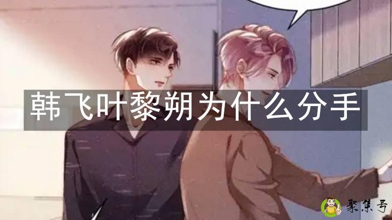 韩飞叶黎朔为什么分手