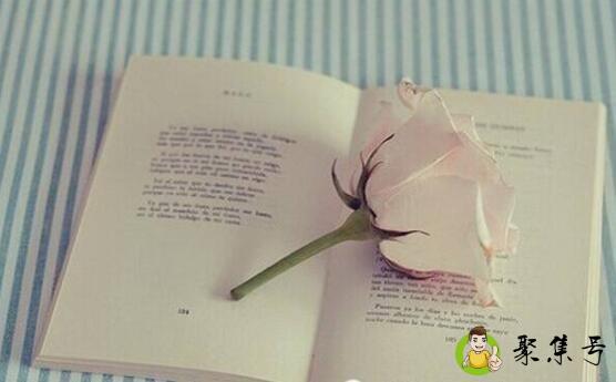 人本原理的原则