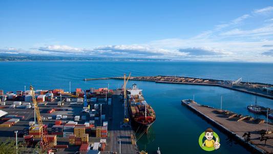 越南和泰国菠萝蜜区别