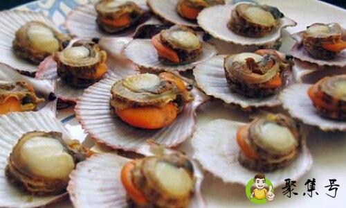 扇贝属于什么垃圾