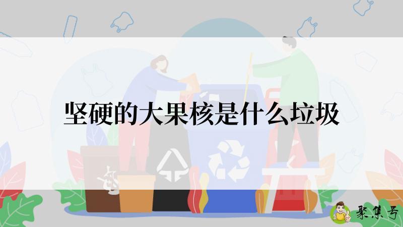 坚硬的大果核是什么垃圾