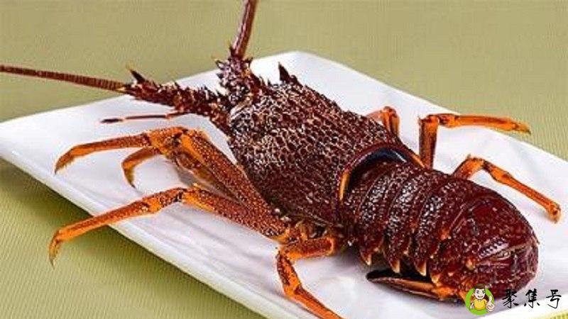 澳龙和青龙的区别