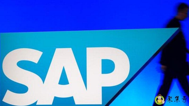 SAP是什么意思