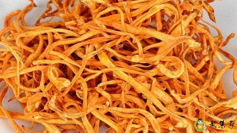 冬虫夏草花怎么吃