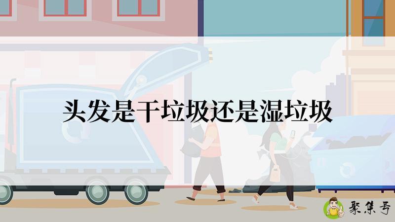 头发是干垃圾还是湿垃圾