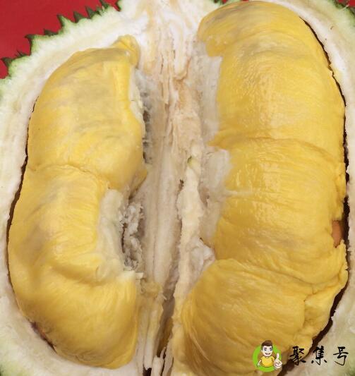 榴莲控是什么意思