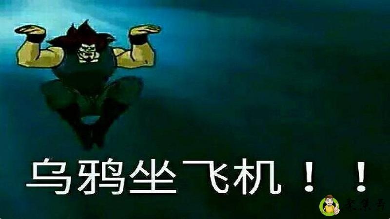 乌鸦坐飞机什么梗