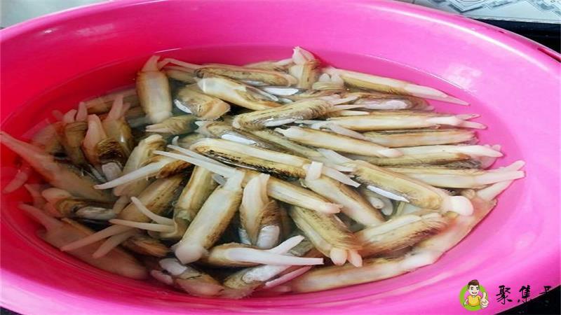 圣子皇怎么清理内脏