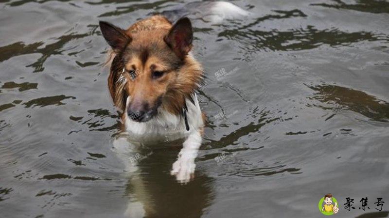 lucky是什么意思中文