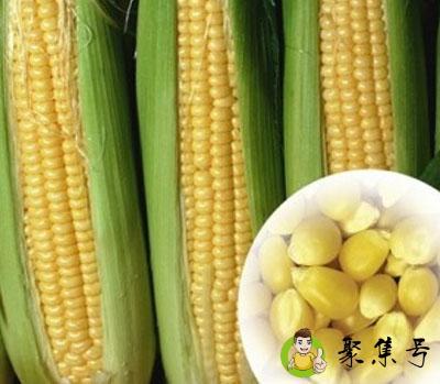 冻玉米怎么煮才好吃的