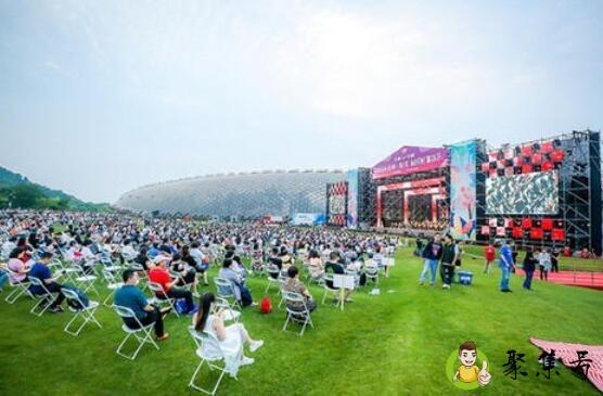 homie票什么意思