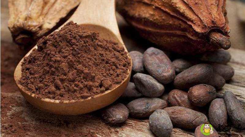 可可粉和可可脂区别