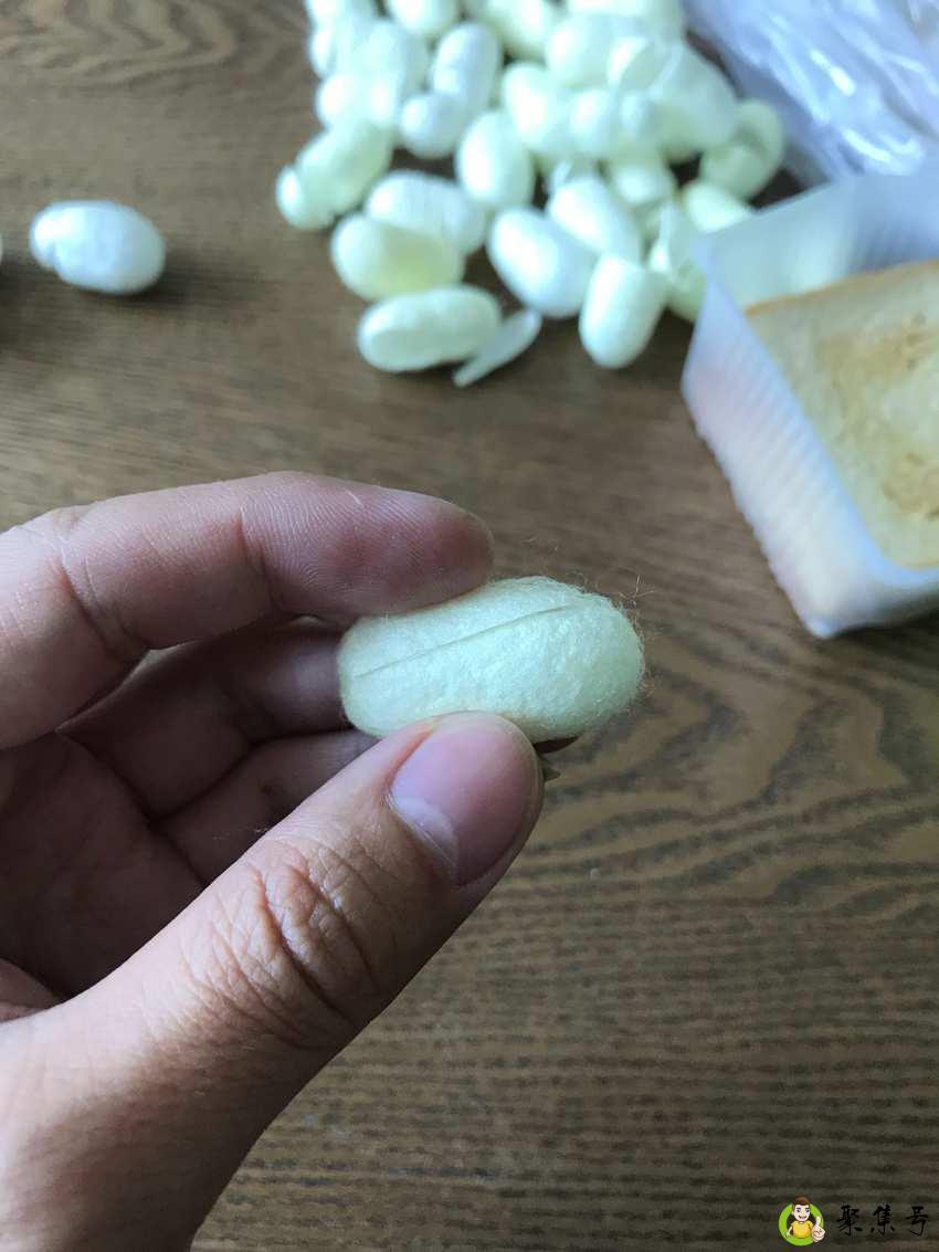 蚕茧能剪开吗