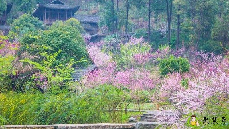 柳暗花明又一村的前一句