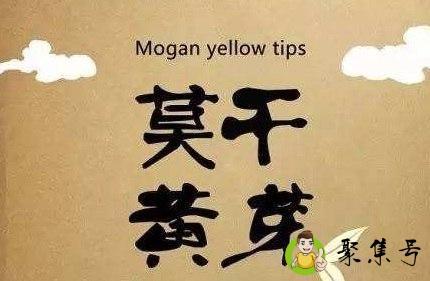 德清特产可以带回家的