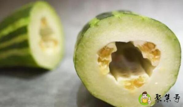 网络用语麻瓜是什么意思