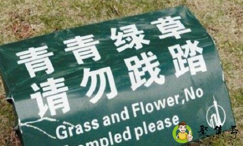 直译和意译的区别