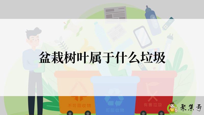 盆栽树叶属于什么垃圾