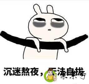 我是夜之精灵什么意思