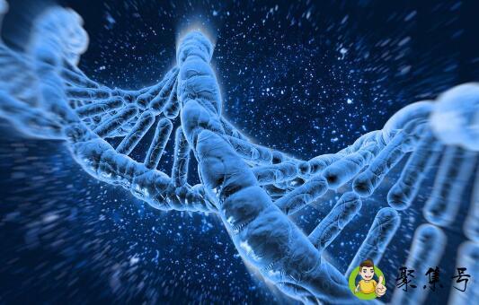 基因强大什么意思