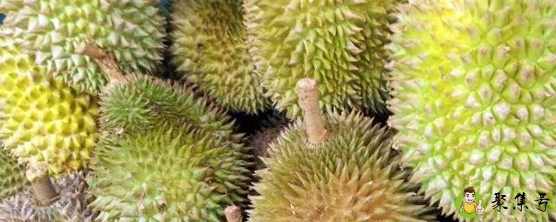 甲伦和金枕头区别是什么呢