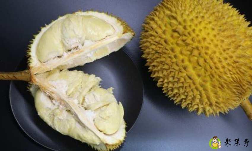 猫山王和金枕头区别