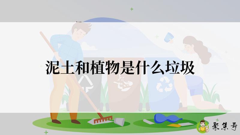泥土和植物是什么垃圾