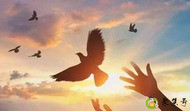 nsl网络用语什么意思