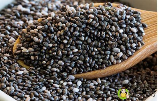 奇亚籽可以用开水泡吗-