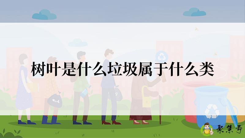 树叶是什么垃圾属于什么类