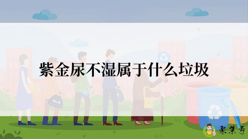 紫金尿不湿属于什么垃圾