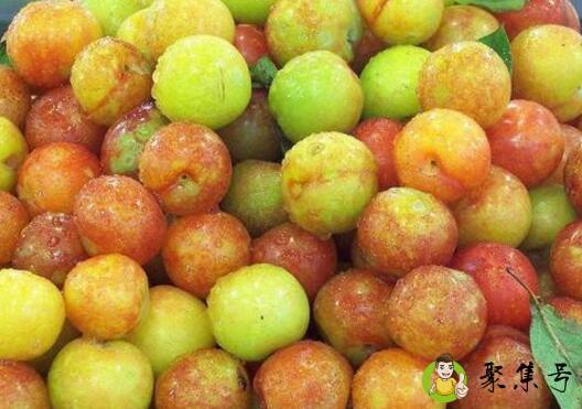 小李子可以多吃吗