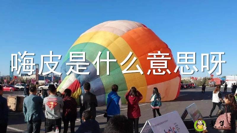 嗨皮是什么意思呀