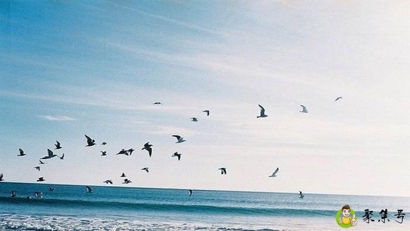 奈何回头皆无你是什么意思