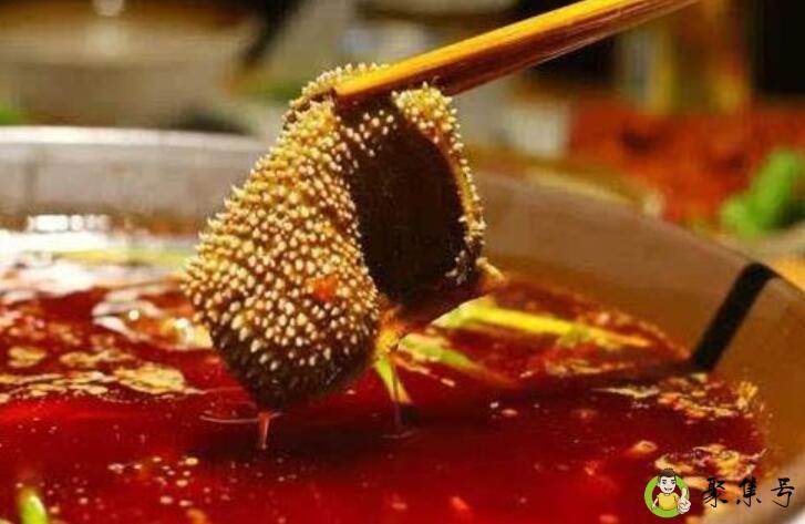 我一会想吃毛肚是什么意思